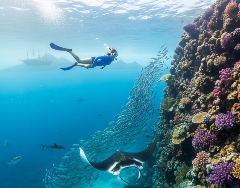 Diving dan Snorkeling di Labuan Bajo